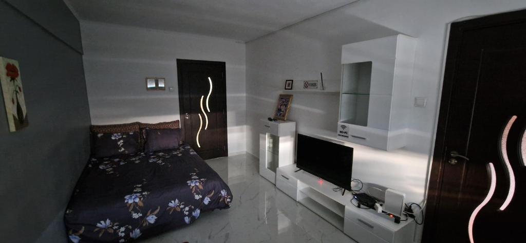 a bedroom with a bed and a flat screen tv at SylvanoStudioCenter in Ploieşti