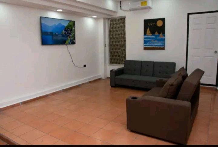 salon z kanapą i telewizorem w obiekcie Relax sin ruidos centrico. w mieście Santa Rosa de Copán