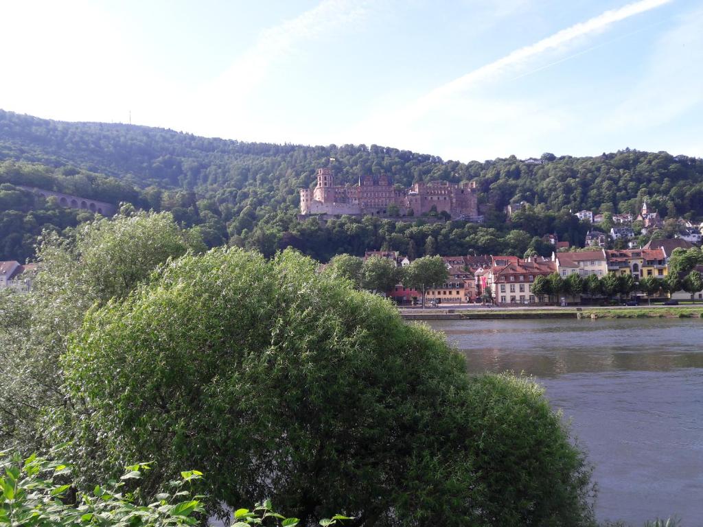um grande castelo no topo de uma colina ao lado de um rio em Ferienwohnung Neckarblick em Heidelberg