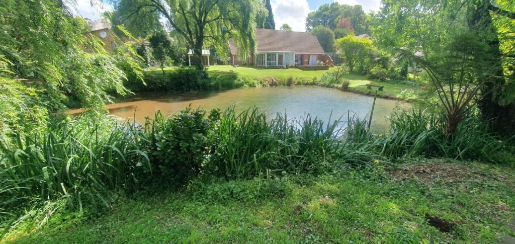 a pond in front of a house in a yard at Air Lakehouse in Hilton
