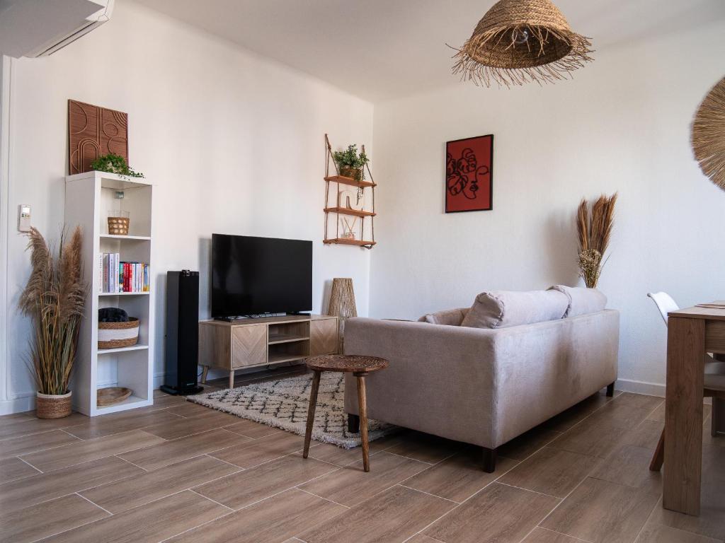 un salon avec un canapé et une télévision dans l'établissement Charmant & Spacieux appartement à Perpignan, à Perpignan