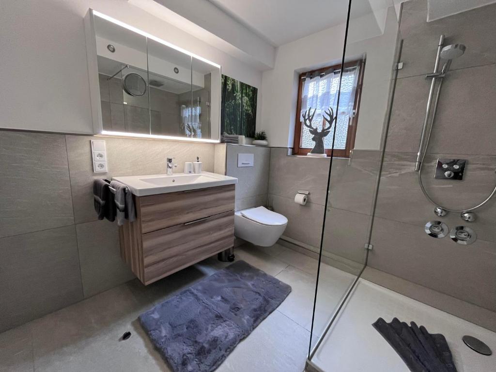 La salle de bains est pourvue d'une douche, d'un lavabo et de toilettes. dans l'établissement Ferienwohnung Alpenherz, à Obermaiselstein
