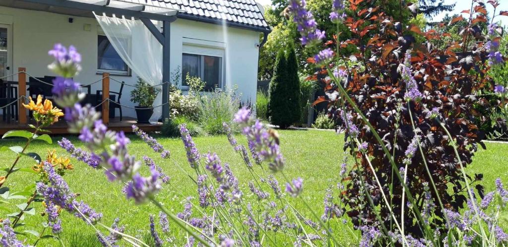 Ogród w obiekcie Otium Wellness Apartmanház