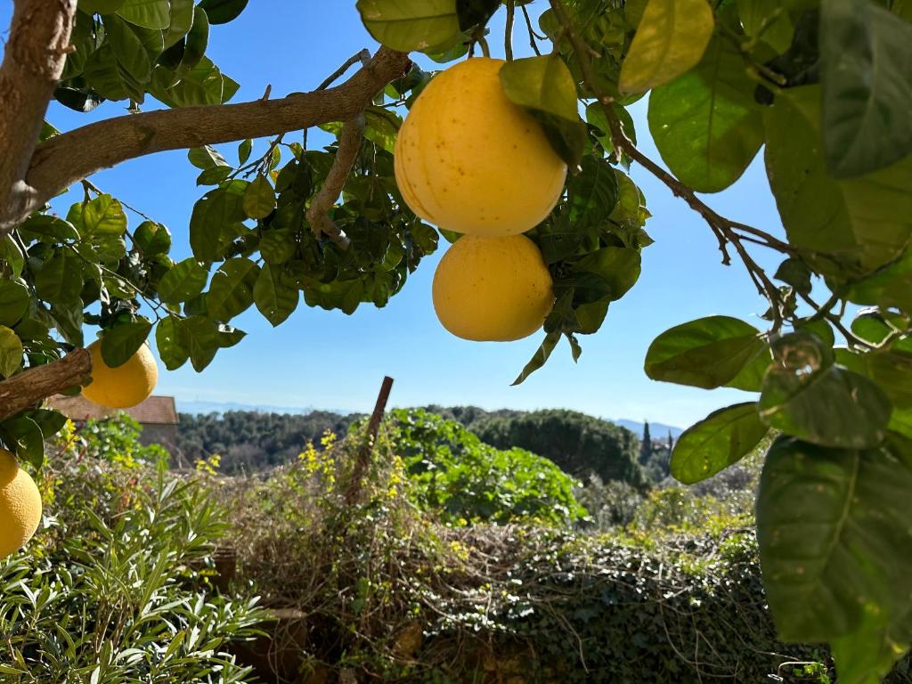 Fotografia z galérie ubytovania Casa antica Maremma Toscana v destinácii Ravi