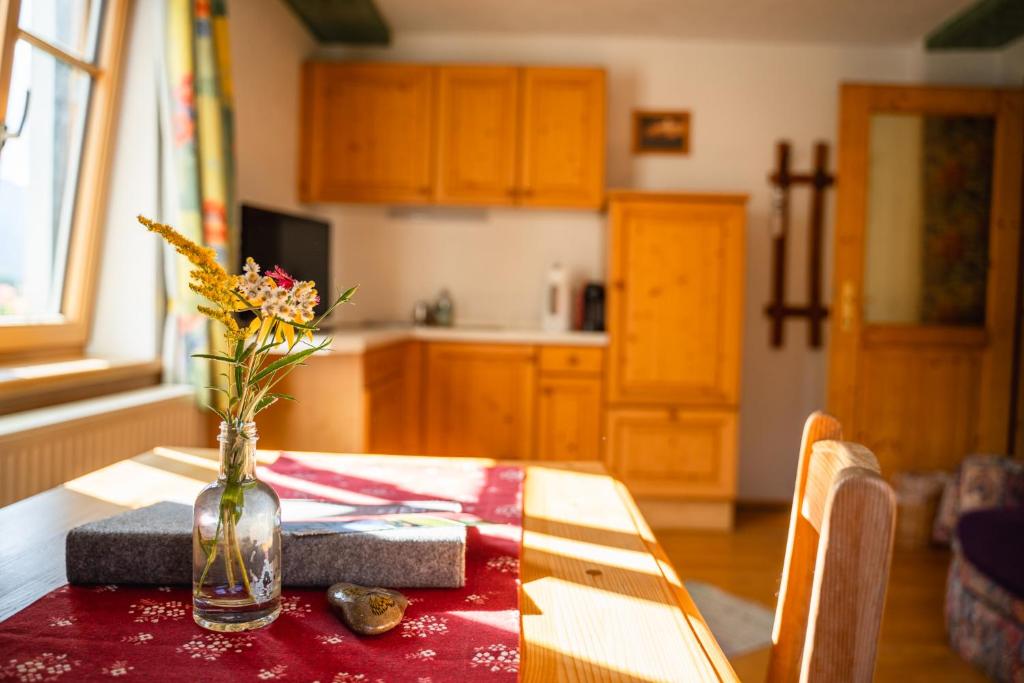 Singerskogel - Ferienhof und Jausnstub`n - 16