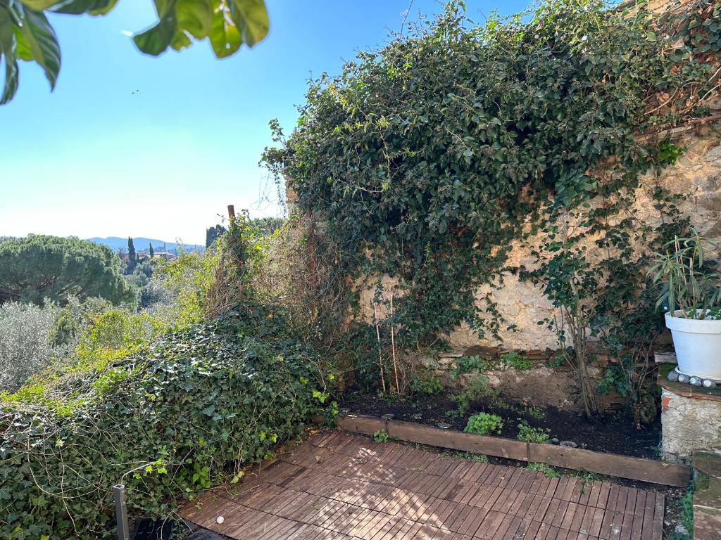 Vonkajšia záhrada v ubytovaní Casa antica Maremma Toscana