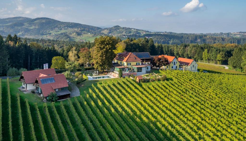 een luchtzicht op een huis in een wijngaard bij PEISERHOF ferien.wein.gut Südsteiermark in Wies