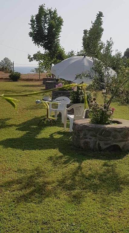 Zahrada ubytování Rooms Kakudia