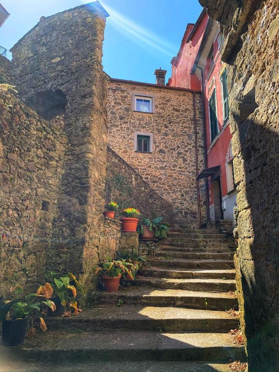 kamienny budynek ze schodami i doniczkami w obiekcie La casa dei nonni w mieście Bracelli