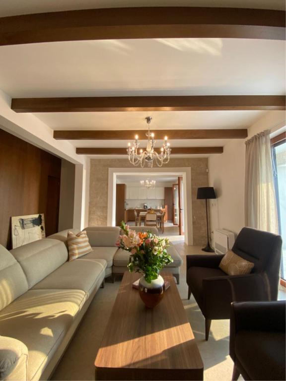 ein Wohnzimmer mit einer Couch und einem Tisch in der Unterkunft Belsize Villas in Budva
