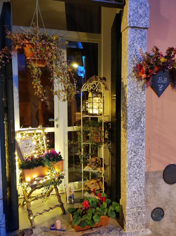 a window of a flower shop with flowers in it at B&B Le Fate Del Lago in Lierna
