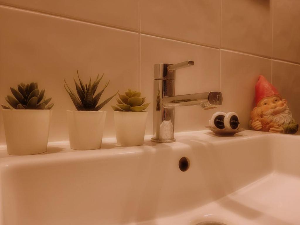 N¨°1 SCHONGAUER GITE DE CHARME CENTRE TOURISTIQUE COLMAR – photo 29
