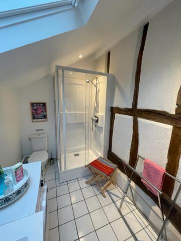 a bathroom with a shower and a toilet at Sologne des étangs - Bontens in Saint-Viâtre