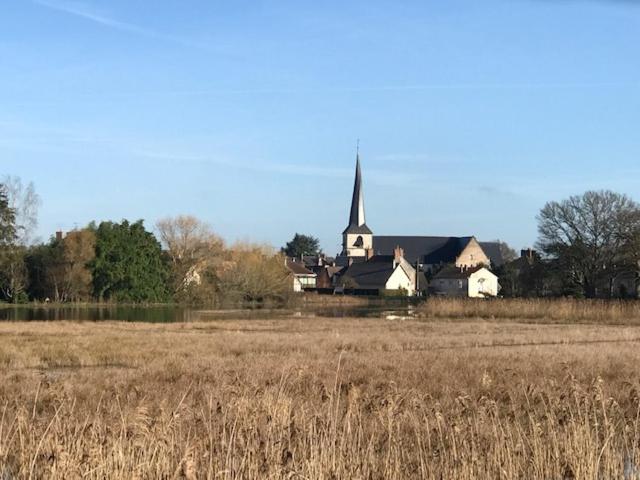 a church with a steeple in a field of grass at Sologne des étangs - Bontens in Saint-Viâtre