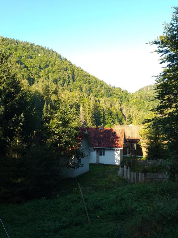 Paesaggio naturale nelle vicinanze dell'affittacamere