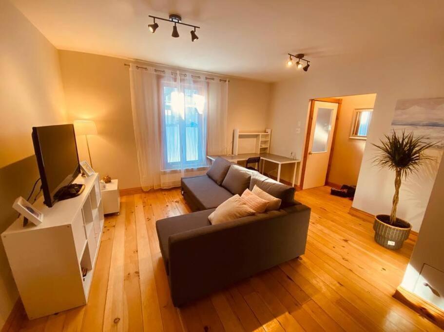 ein Wohnzimmer mit einem Sofa und einem TV in der Unterkunft Perfect Location! Entire appartement. Le Plateau. in Montreal