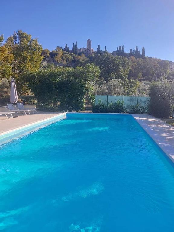 a large blue swimming pool with a hill in the background at La Selvarella in Montecchio