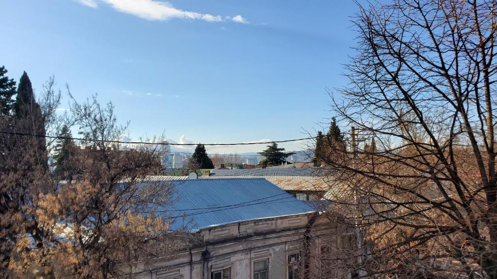 Příroda nedaleko hotelu