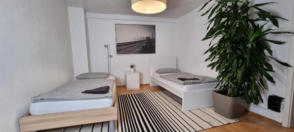 two beds in a room with a potted plant at Private Wohnung in Leimen in Leimen