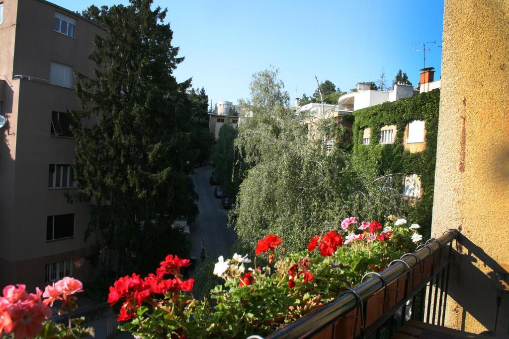 Vonkajšia záhrada v ubytovaní Apartment Classic Deco