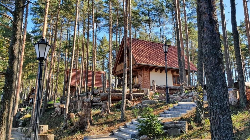una pequeña cabaña en el bosque con árboles en Osada Swory domki w lesie nad jeziorem, en Małe Swornigacie