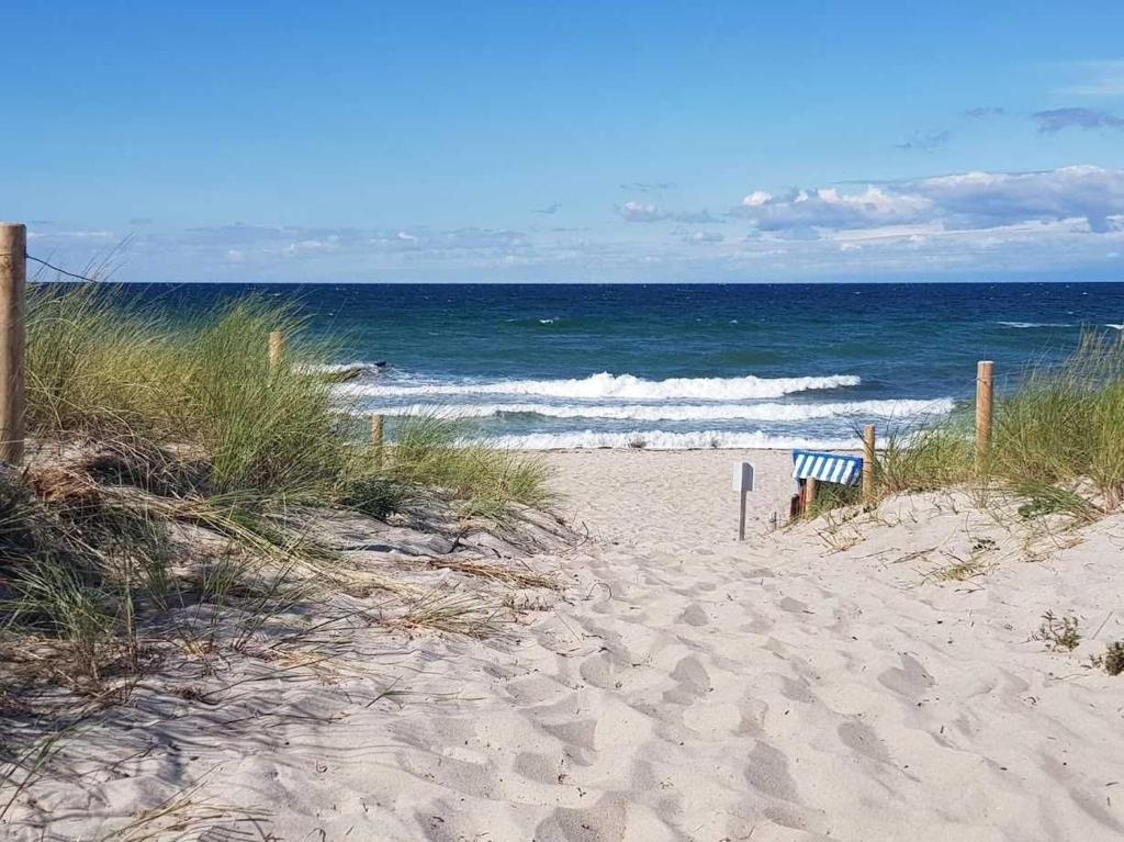 a beach with a bench on the sand and the ocean at Ostseebuhne GM Schwerdtner in Müritz