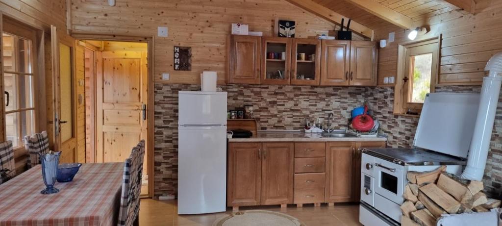 Kuchyň nebo kuchyňský kout v ubytování Brvnara Gradišnjica