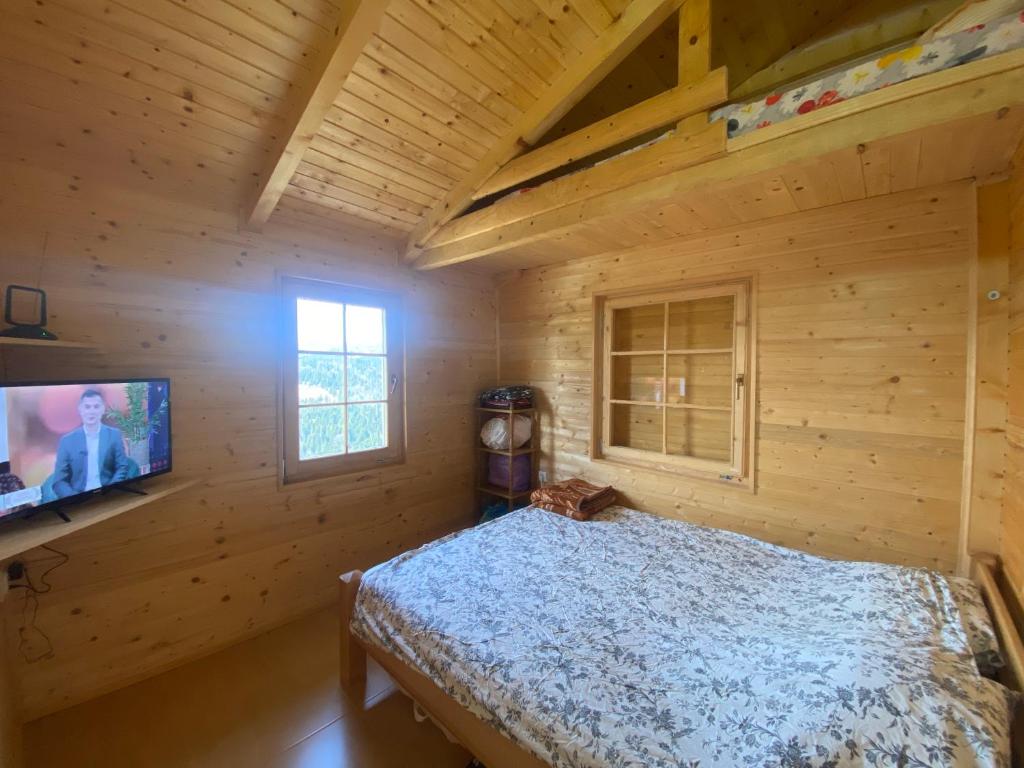 ein Schlafzimmer mit einem Bett und einem TV in einer Blockhütte in der Unterkunft Brvnara Gradišnjica in Andrijevica