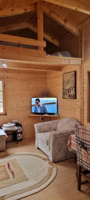 TV a/nebo společenská místnost v ubytování Brvnara Gradišnjica