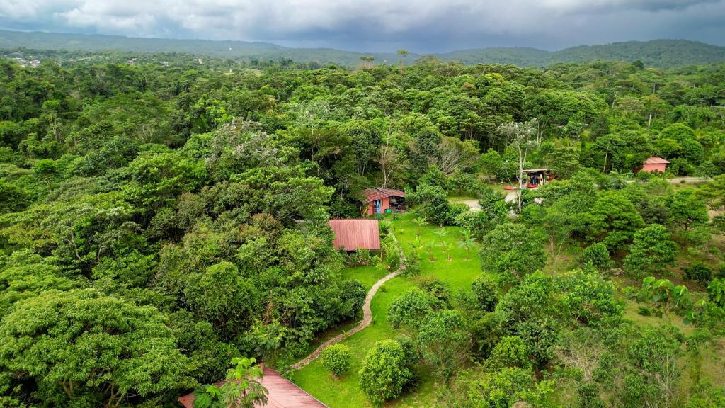 an aerial view of a house in the middle of a forest at Kayak Hostel Ecuador in Archidona