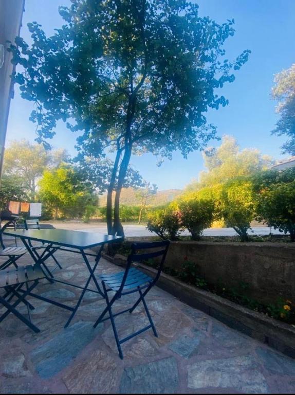 une table et des chaises assises devant un arbre dans l'établissement Calenzana GR20, à Calenzana