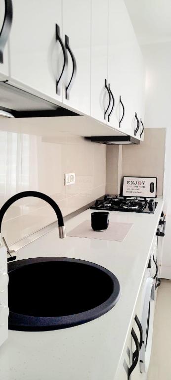 Brancoveanu Apartament's - Deluxe Queen Studio