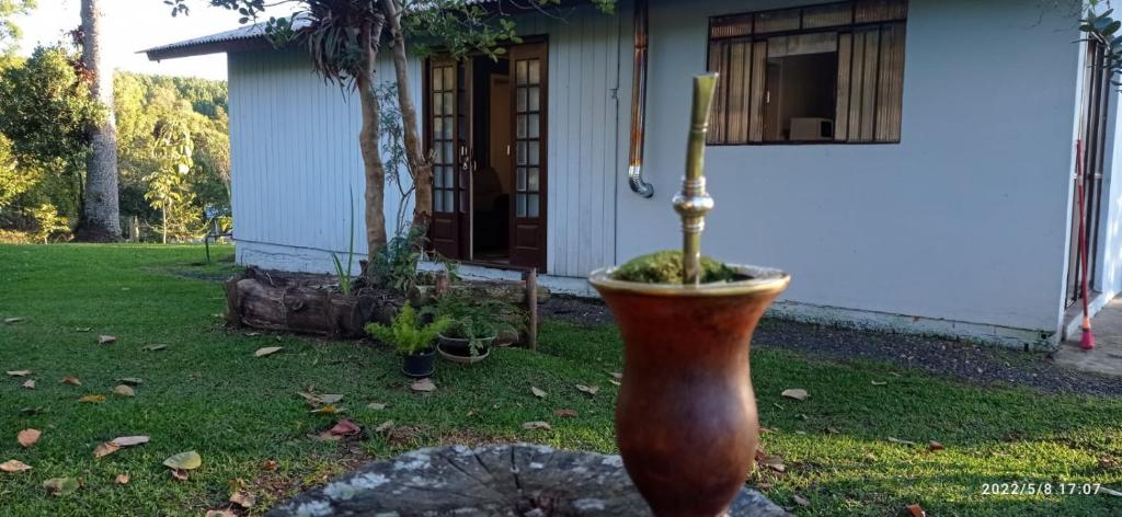 a plant in a vase in front of a house at Casa Gralha Azul in Lages