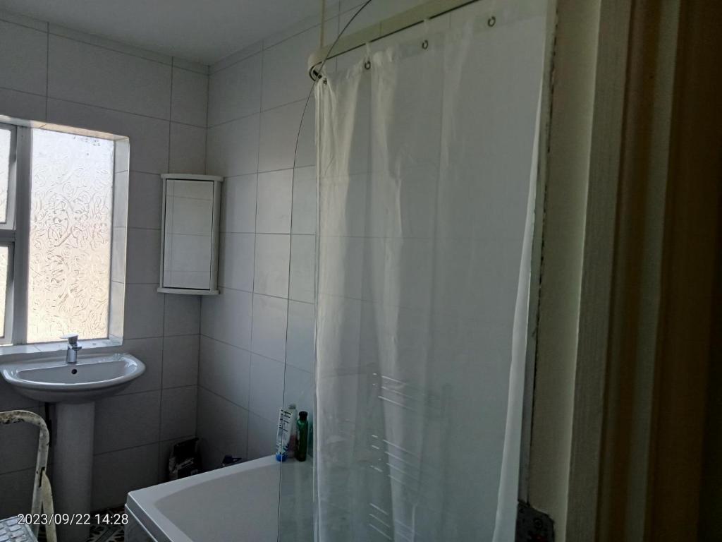 La salle de bains est pourvue d'un rideau de douche et d'un lavabo. dans l'établissement Home away from home, à Dublin