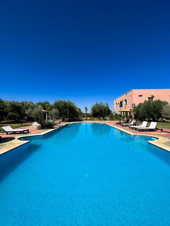 ein großer Pool mit blauem Wasser in einem Resort in der Unterkunft Guest House Qodwa in Marrakesch
