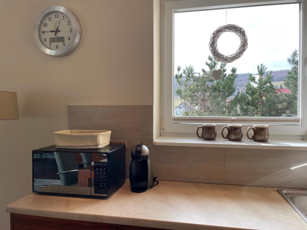 Kuchyň nebo kuchyňský kout v ubytování Apartament Słoneczny na Krzywej