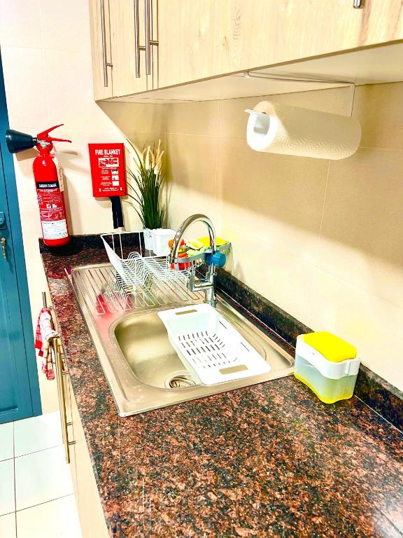 Kuchyň nebo kuchyňský kout v ubytování Deluxe Apartment