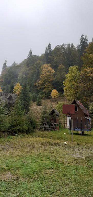 un grupo de casas en un campo con árboles en Cabana Valea Stanciului Stefan, en Răchiţele