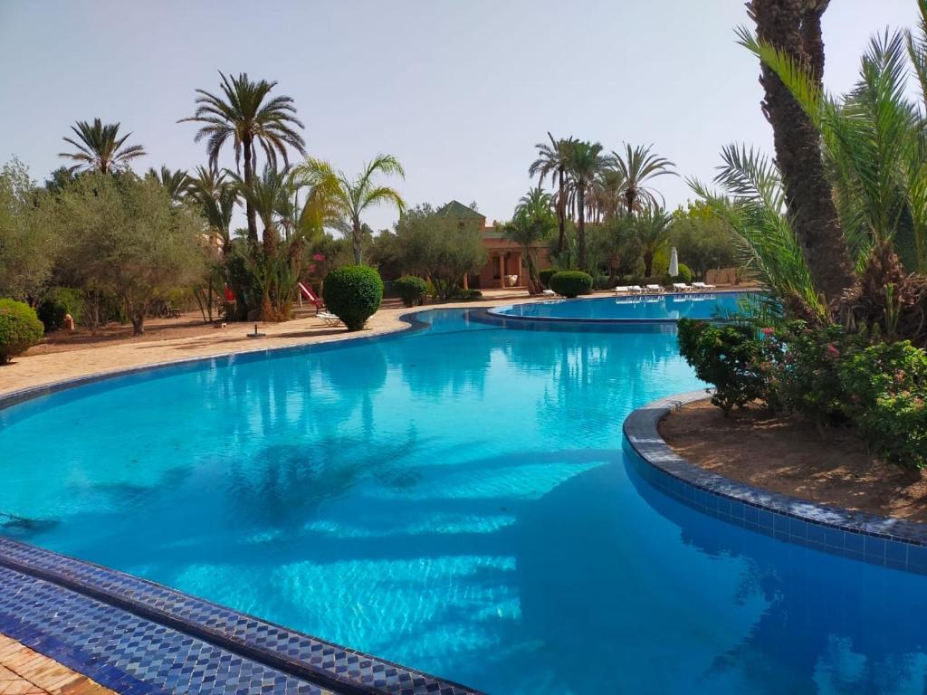 a large swimming pool with blue water and palm trees at Palmeraie Village in Marrakesh