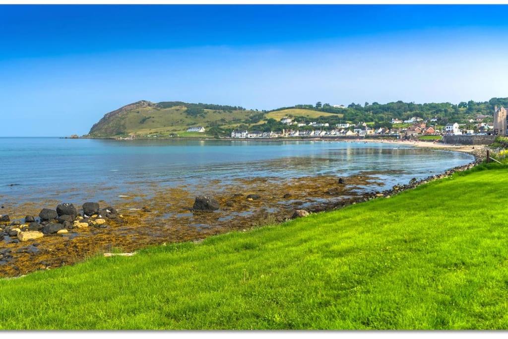 a view of a beach with green grass and the ocean at Walnut Apartment Larne in Larne