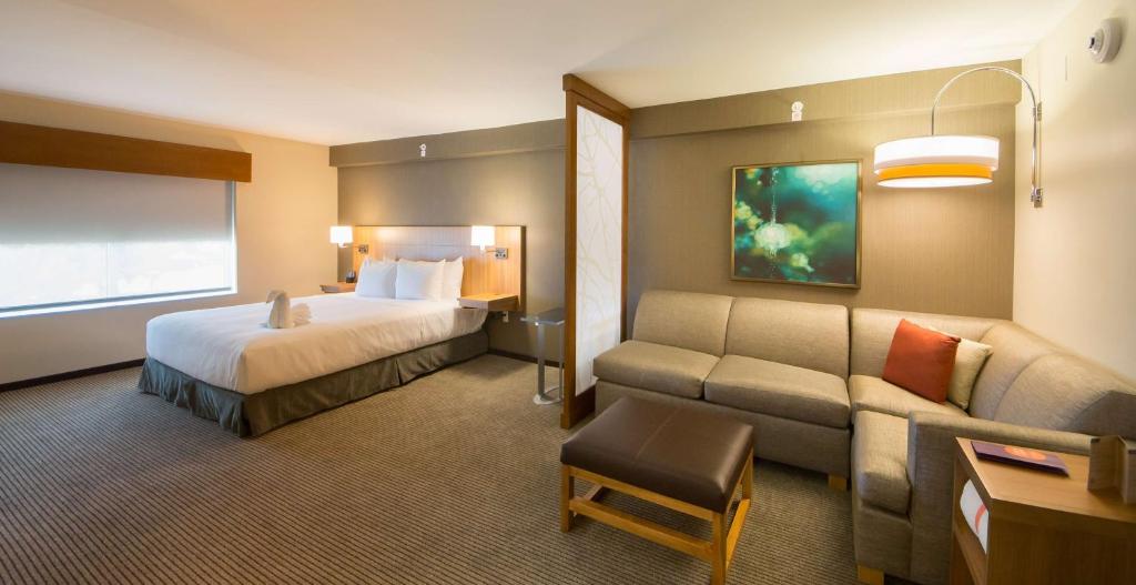 Hyatt Place Orlando/Lake Buena Vista - King Room With Sofa Bed
