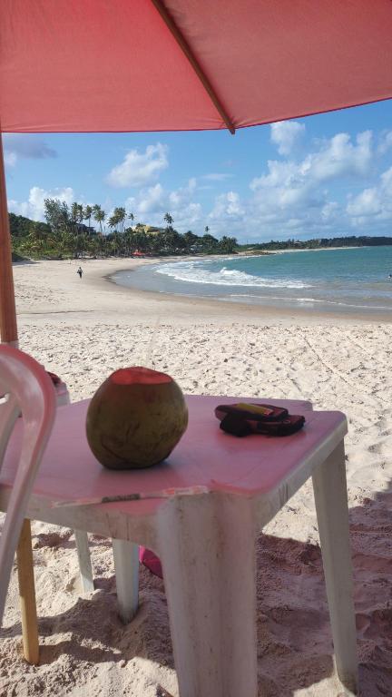 una noce di cocco seduta su un tavolo sulla spiaggia di Camping Harmonia a Conde