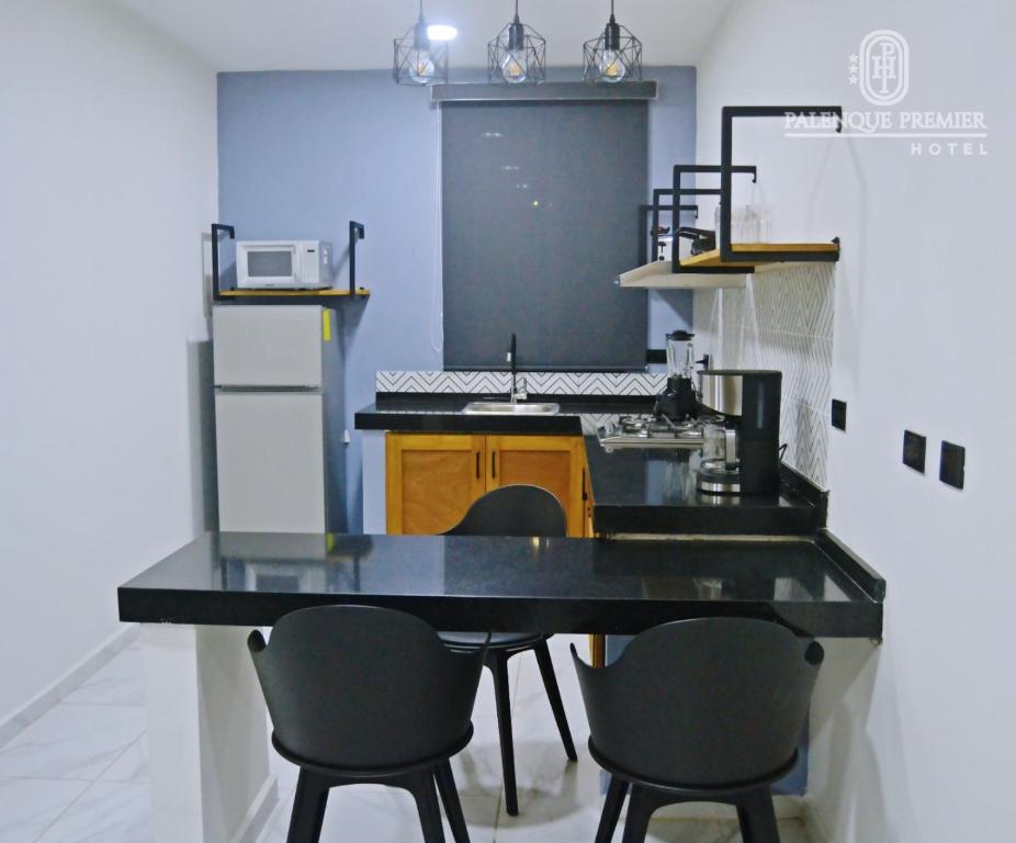 Kuchyň nebo kuchyňský kout v ubytování HOTEL PALENQUE PREMIER