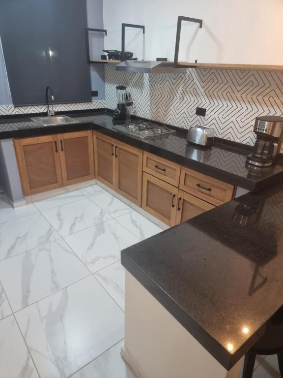 Kuchyň nebo kuchyňský kout v ubytování HOTEL PALENQUE PREMIER