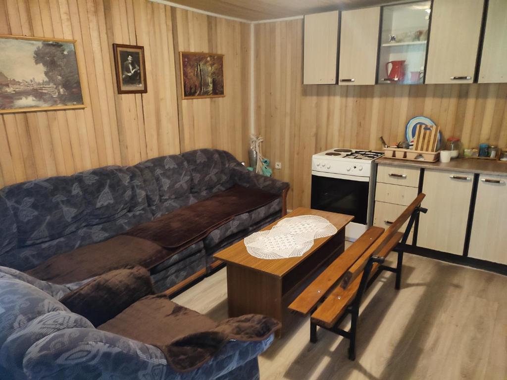 ein Wohnzimmer mit einem Sofa und einem Tisch in der Unterkunft Valley Tara in Plužine