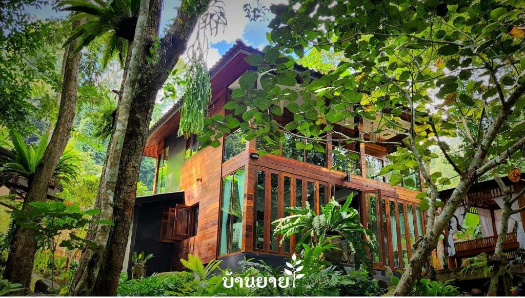 a wooden house in the middle of trees at MayamYay Privacy Homestay @Mea Nea Chiang Dao in Chiang Dao