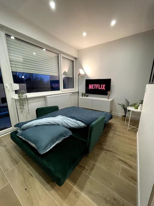 HOME GREEN TOUCH - Fibre*Near Basel*Cosy – photo 7