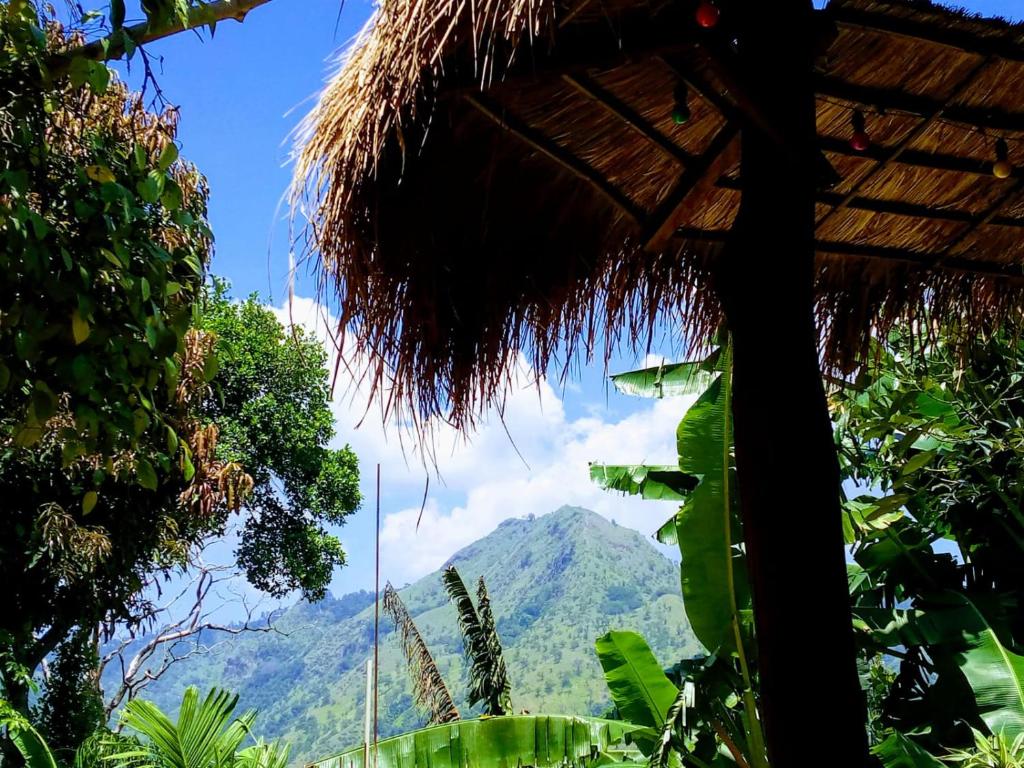 a view of a mountain from a straw hut at Mountain Ring Hotel and Restaurant in Ella