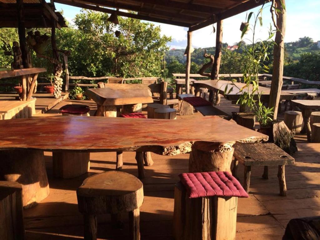 Tree Top Eco-Lodge 4