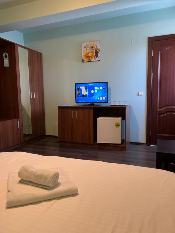 a bedroom with a bed and a flat screen tv at Casa Verde in Videle
